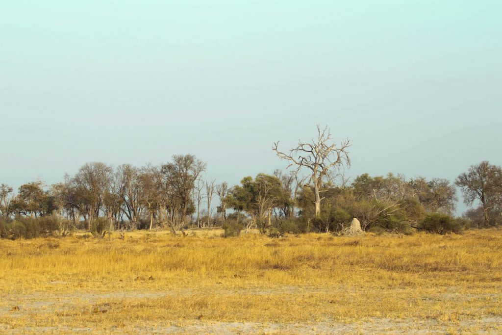 20 pictures to inspire you to travel to the Okavango Delta in Botswana