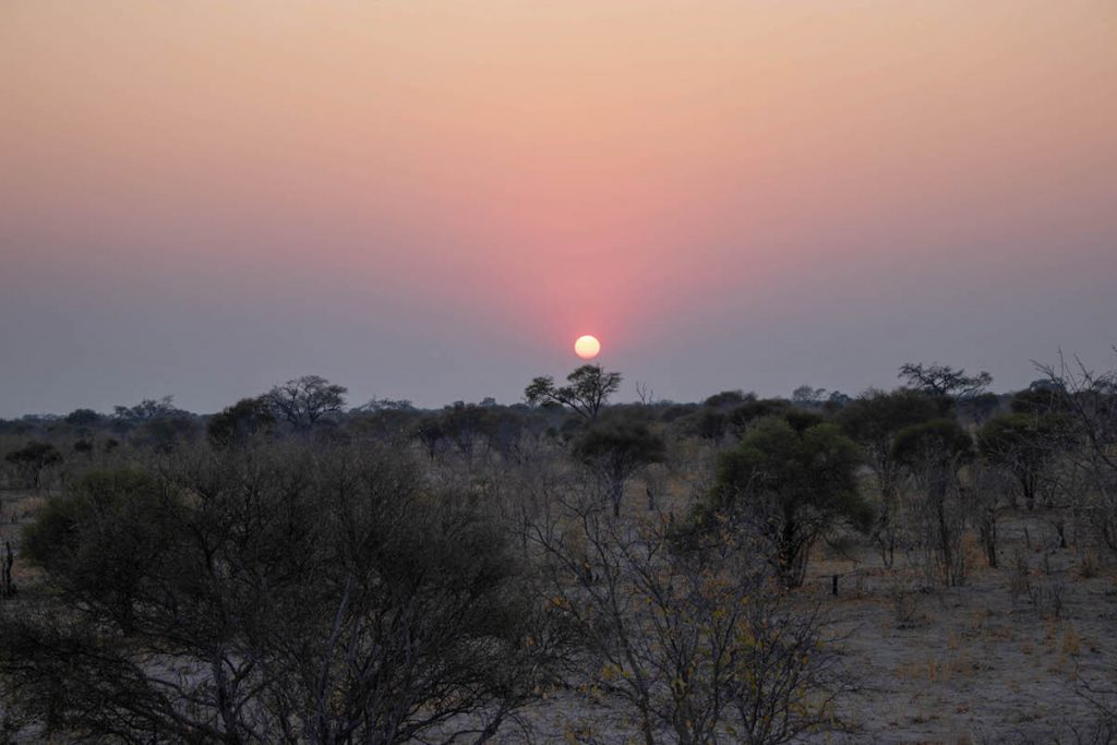 Sunrise over the Okavango Delta