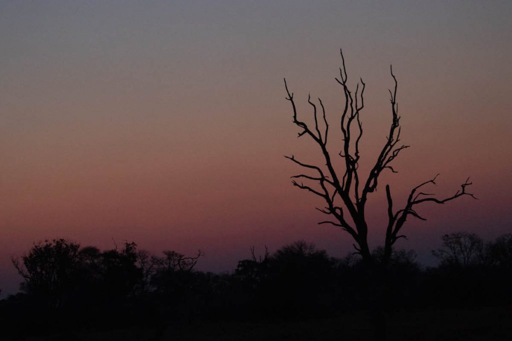 Sunsets in the Okavango Delta