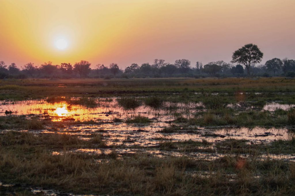 20 photos to inspire you to visit the Okavango Delta, Botswana