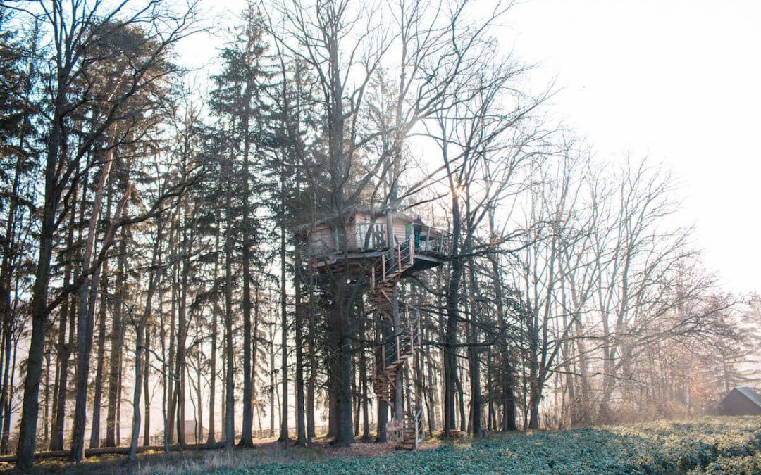 Sleeping at the highest treehouse near Prague: Resort Green Valley