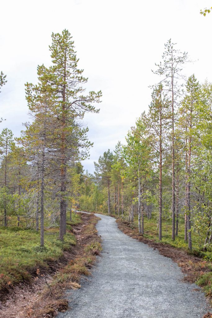 Things to do in Senja: Anderalen National park