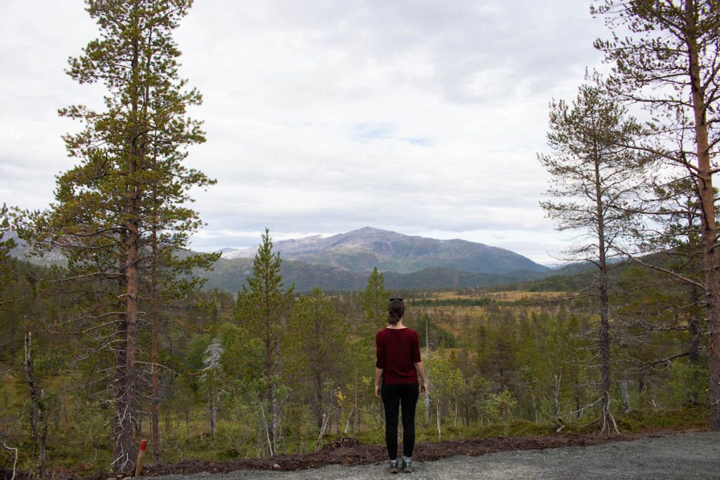 Things to do in Senja: Anderalen National park