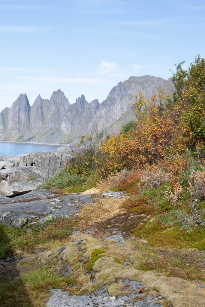 Things to do in Senja: Ersfjorden