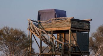 Staying at Skybeds in the Okavango Delta, the most amazing room