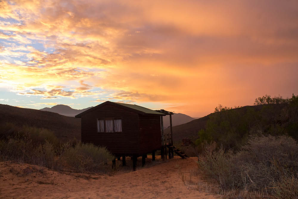 Most unique accommodations in the Western Cape - Gecko Creek