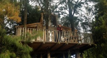 The 11 most unique accommodations in the Western Cape, South Africa