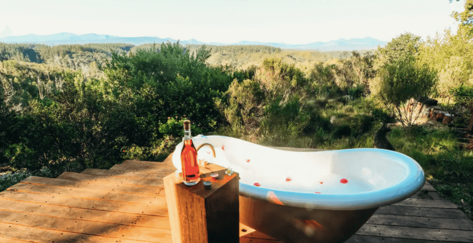 Coolest Airbnbs near Cape Town - Forest heart