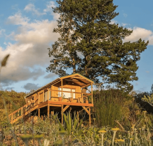 Coolest Airbnbs near Cape Town - eco tree house