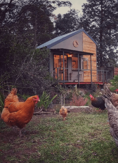 Coolest Airbnbs near Cape Town - the nest exterior