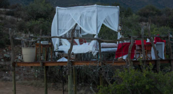 Star Bed at Samara Game Reserve: sleeping under the stars