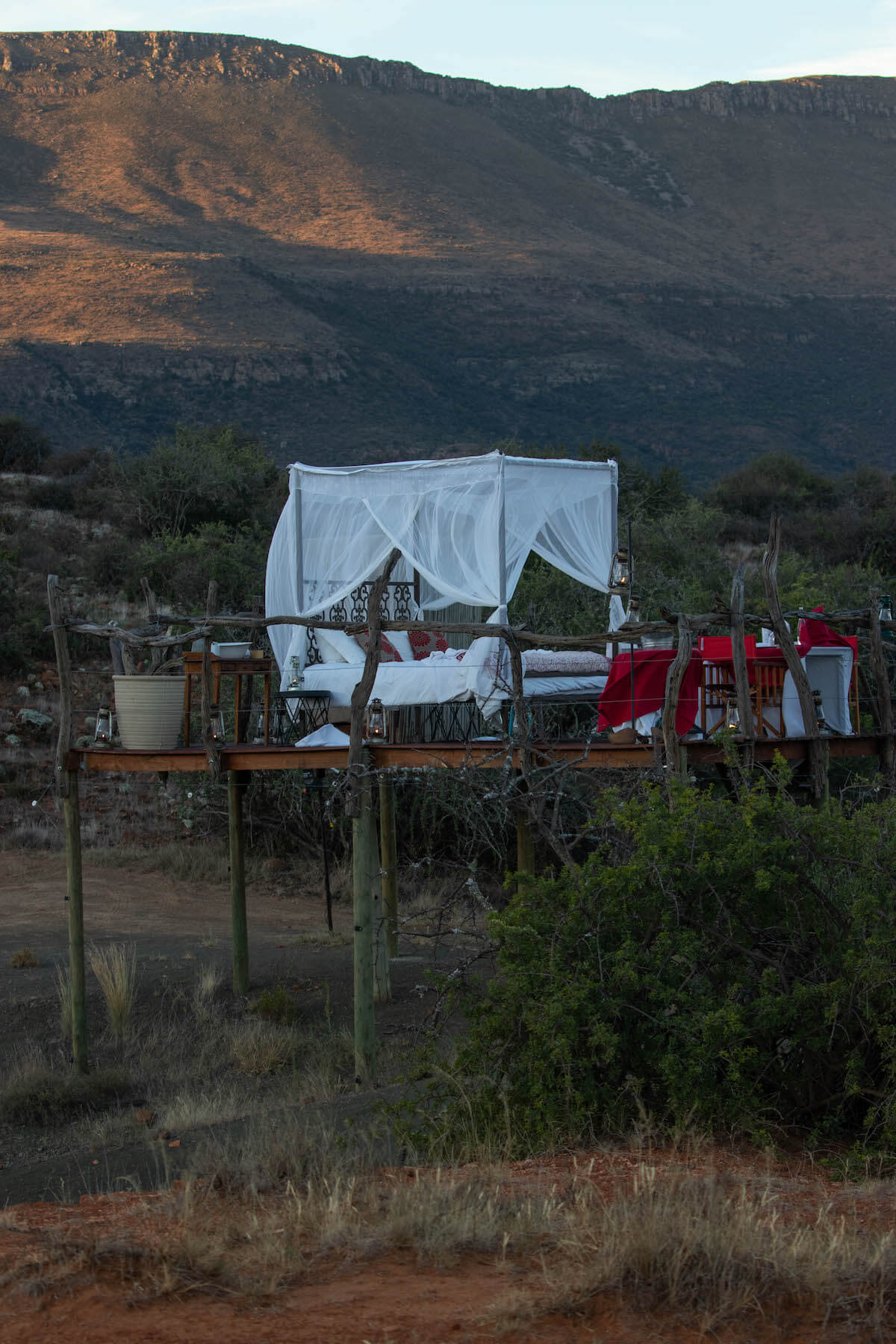 Star Bed at Samara Game Reserve: sleeping under the stars