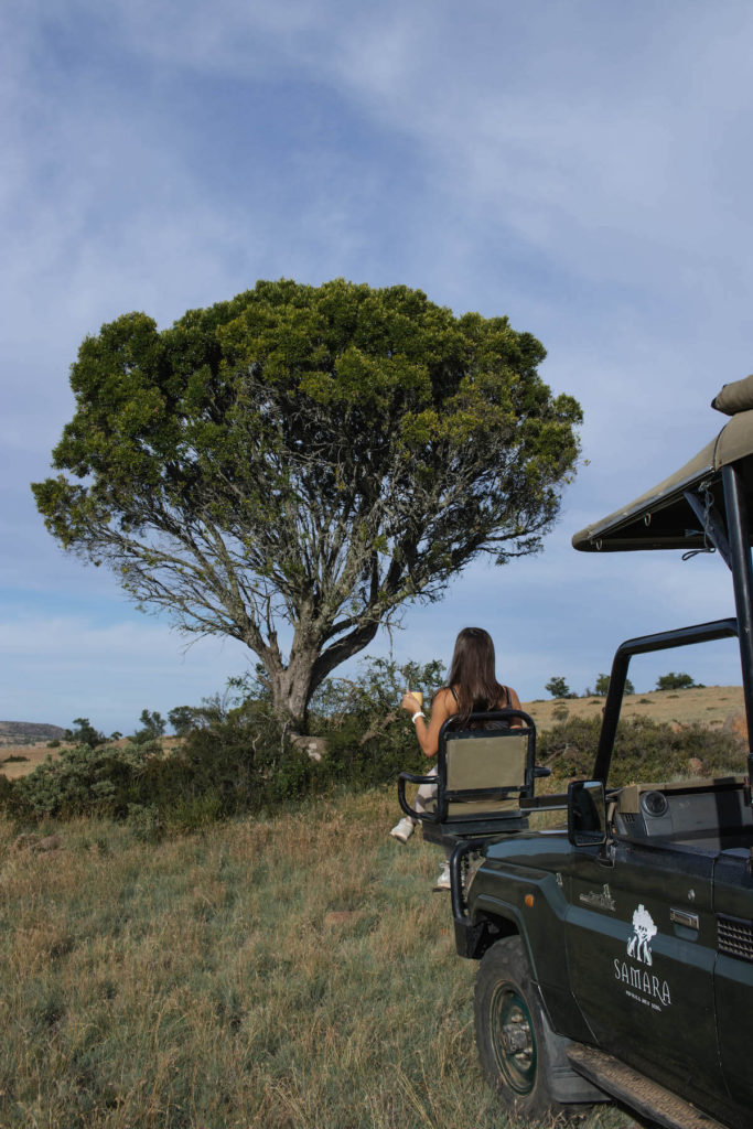 On safari at Samara Game Reserve