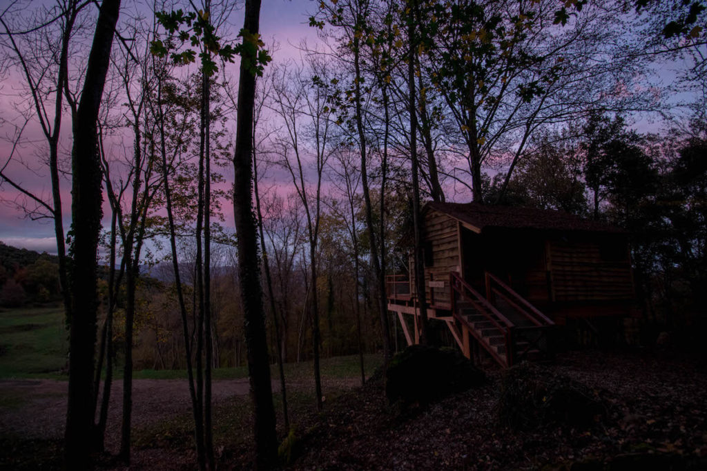 Cabanyes entre Valls tree house from exterior