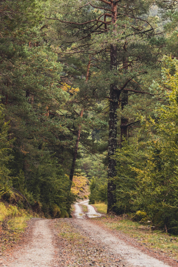 Reserva de Boumort, Catalunya