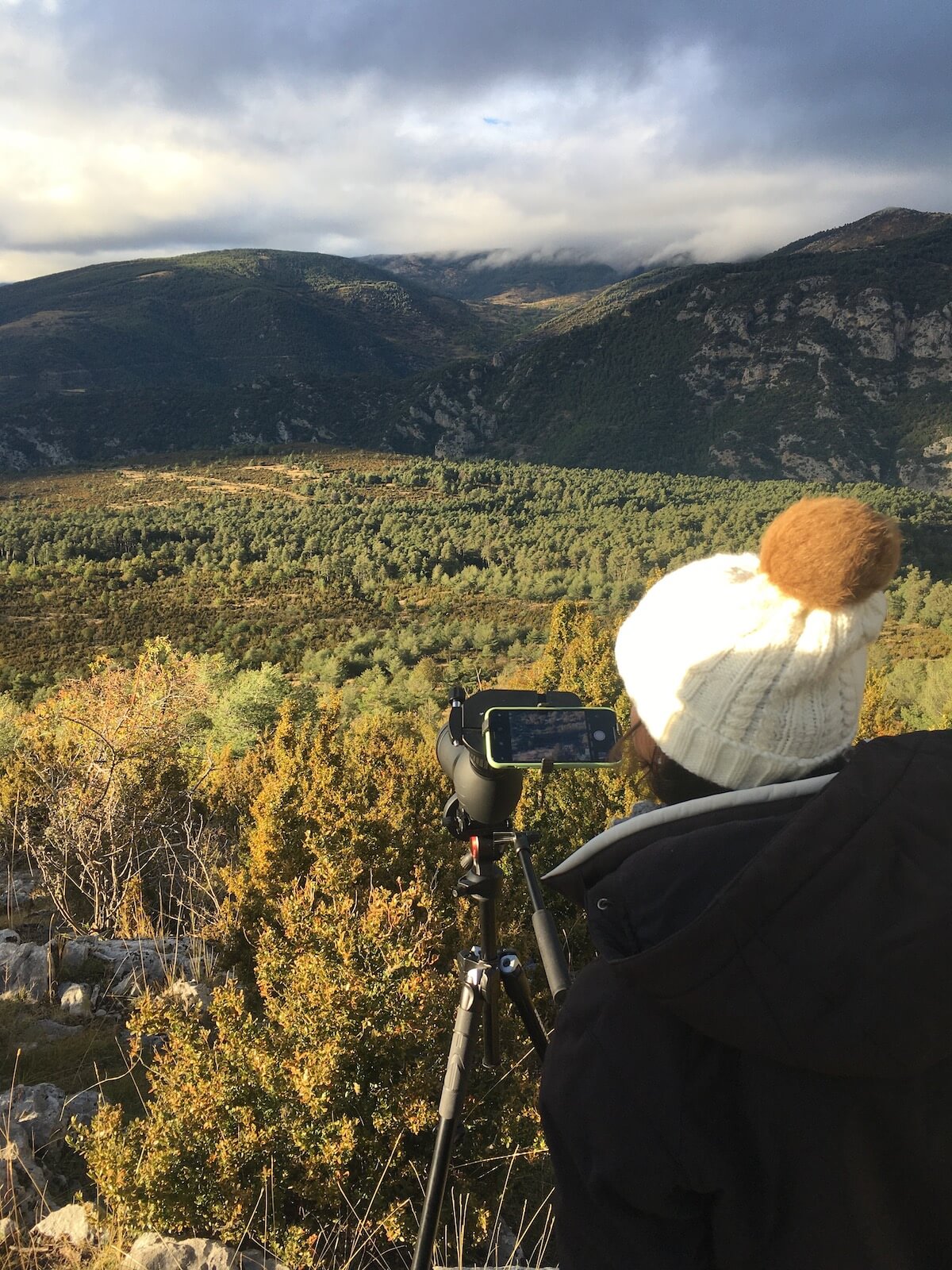 Where to see the deer rut season in Catalunya