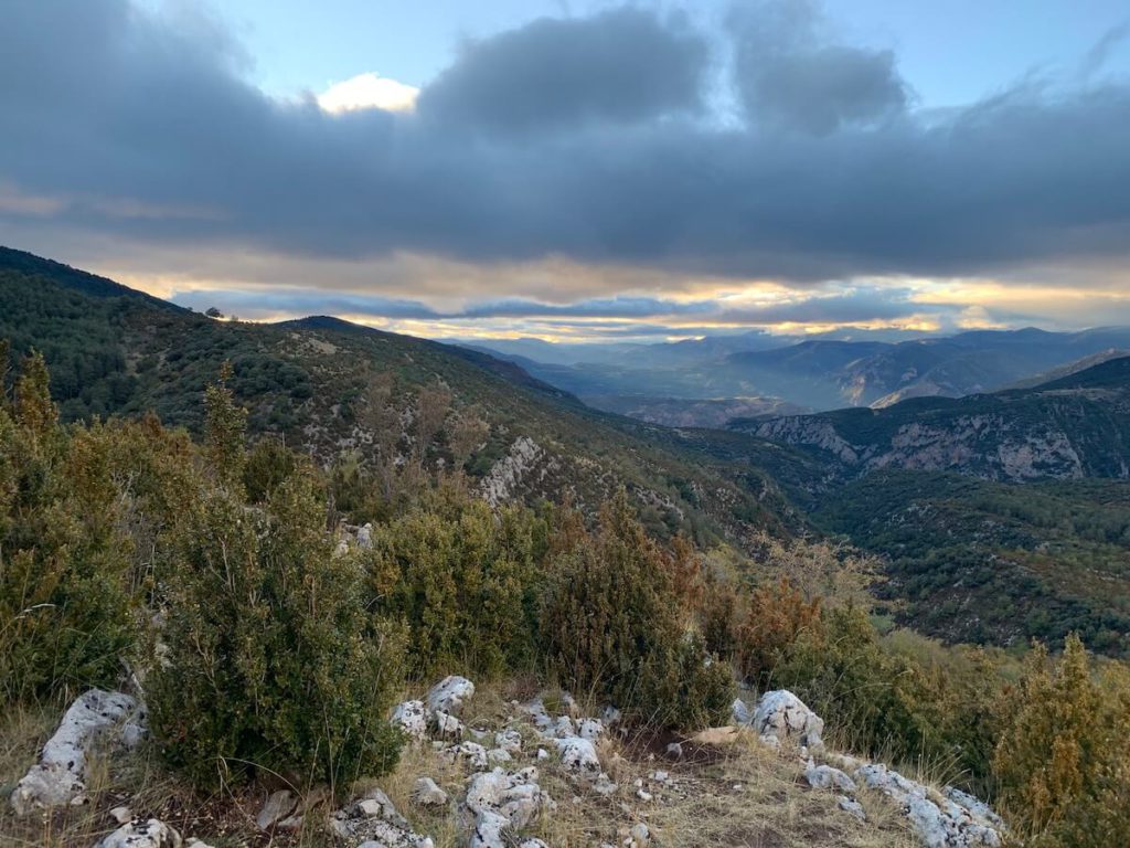 Reserva de Boumort, Catalunya