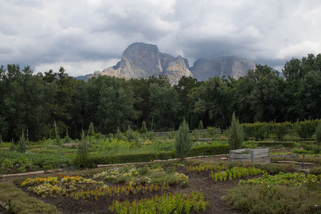 Boschendal gardens