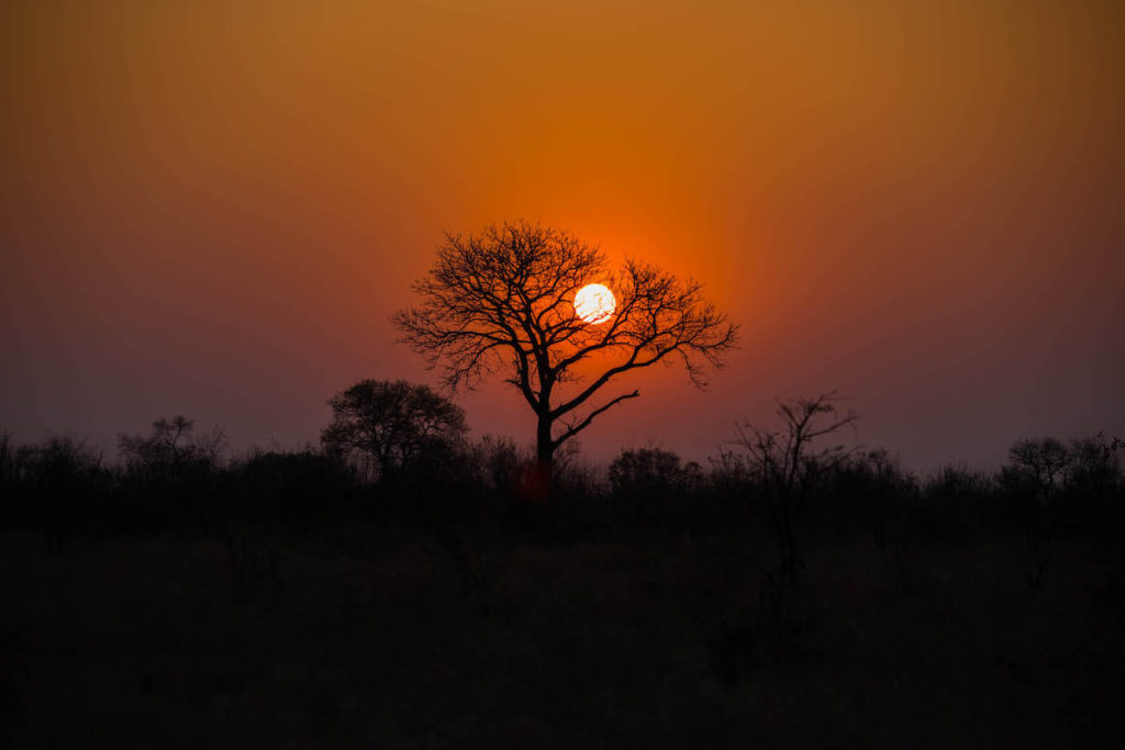 How to self-drive Kruger National Park