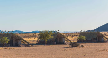 Desert Quiver Camp: quirky hotel in Sossusvlei