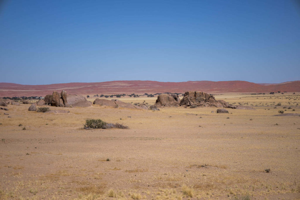 Desert Quiver Camp desert views